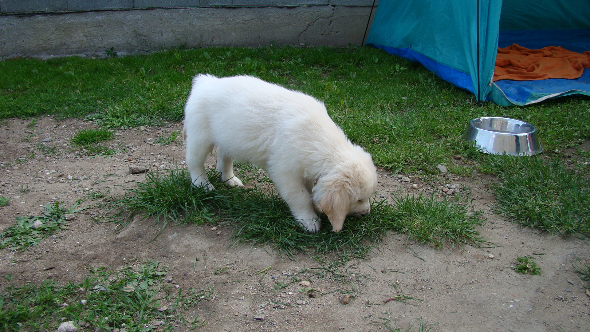 DSC01014.JPG