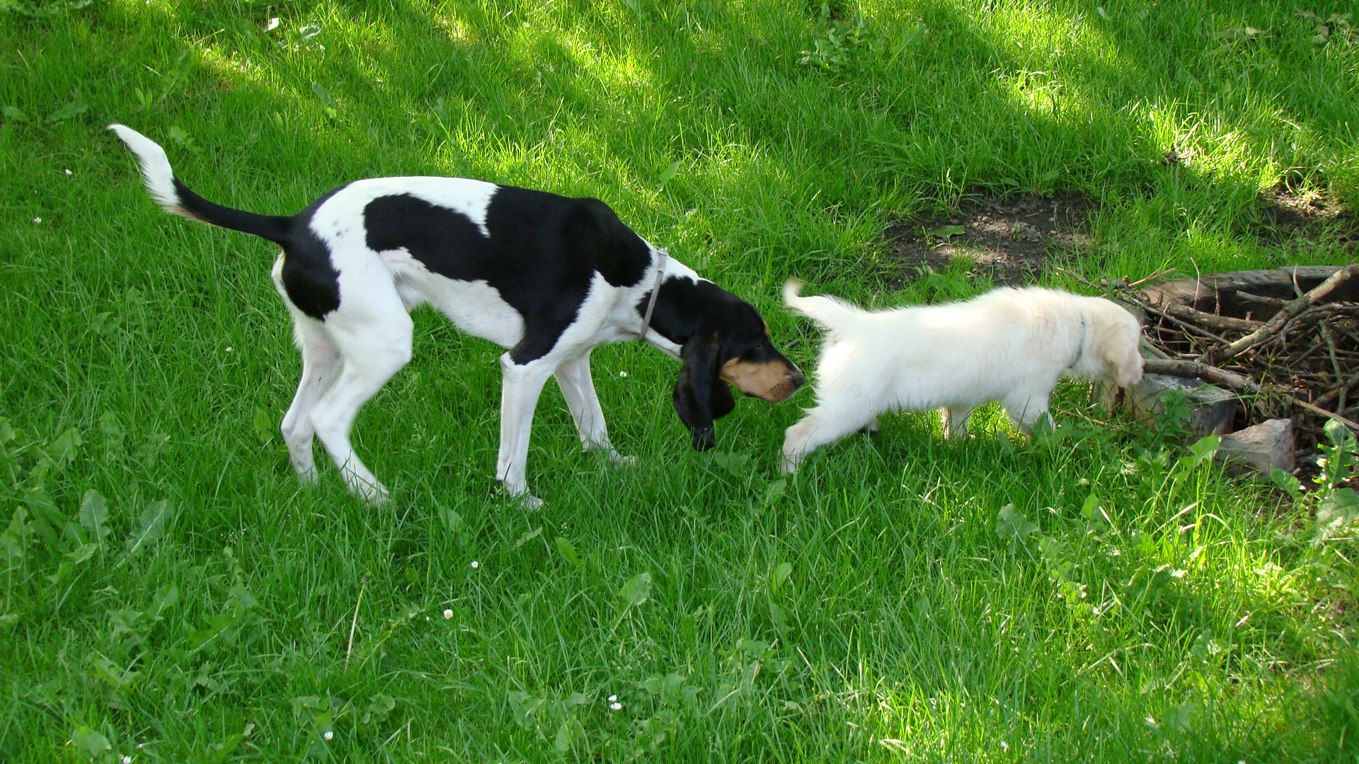 DSC01246.JPG