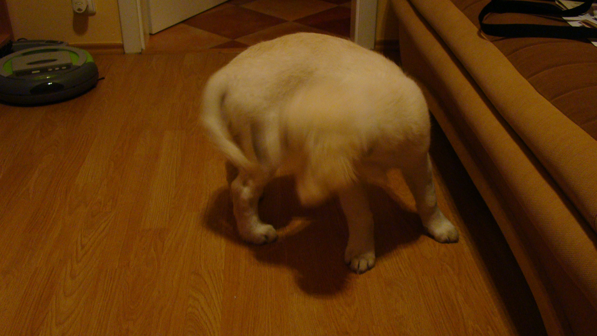 DSC01464.JPG